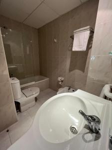 ein Badezimmer mit einem weißen Waschbecken und einem WC in der Unterkunft Hotel Agrelo in Reboredo