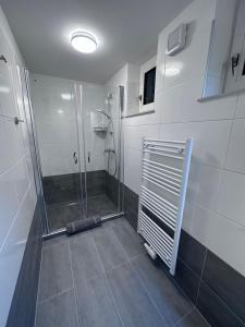 a bathroom with a shower with a glass door at Waldluft Apartments in Heidenreichstein