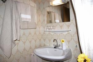 a bathroom with a sink and a mirror at Die Sonnenblume in Sankt Kanzian +65 photos
