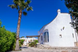 a palm tree next to a white building at BouganVilla in Polignano a Mare