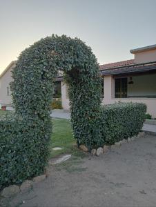ein Busch, der wie ein Buchstabe b vor einem Haus geformt ist in der Unterkunft B&B da Gio' in Santa Maria la Palma