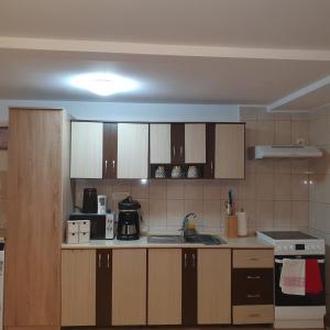 a kitchen with wooden cabinets and a sink at Moonlight-House Dark Side Apartment in Sinaia