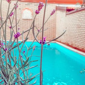uma planta com flores roxas ao lado de uma piscina em La Villa di Bambi em Vanzago