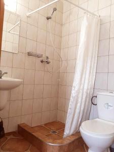 een badkamer met een douche, een toilet en een wastafel bij Nad Bałtykiem in Władysławowo