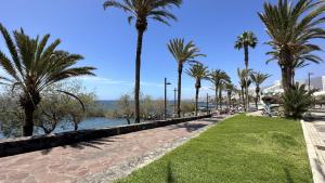 een park met palmbomen en een waterlichaam bij Fantastic vacation by the ocean in Playa de las Americas