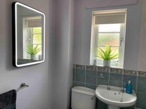 bagno con lavandino, servizi igienici e specchio di Salthouse Cottage in Ironbridge a Telford