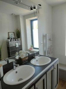La salle de bains est pourvue de 2 lavabos et d'un grand miroir. dans l'établissement Gîte au calme dans le Parc du Livradois-Forez, à Saint-Julien-de-Coppel