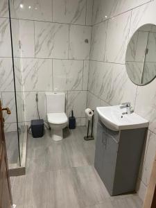 a bathroom with a toilet and a sink and a mirror at After 5 Apartment 1- 3 spacious en-suite bedrooms in Freetown