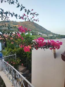 un balcón con flores rosas en una pared blanca en Bed and Breakfast Villa Angelina, en Lipari