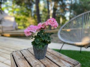 Fotografie z fotogalerie ubytování koh tenta a b&b in a luxury glamping style v destinaci Mariefred