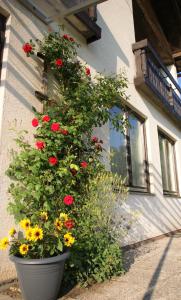 una maceta de flores al lado de un edificio en Die Sonnenblume, en Sankt Kanzian