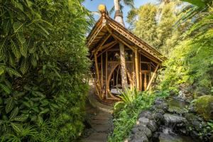 O grădină în afara Harmony House, Bamboo House with Pool view