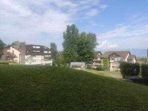 una colina de hierba con casas en el fondo en gîte Amolinnes F2 5mn douane croix de rozon 20mn Genève en Collonges-sous-Salève