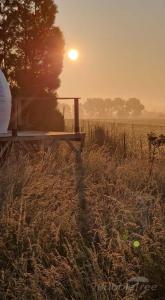 a bench in a field with the sunset in the background at Ecolieu BnBubble Drincham by BubbleTree BBT SARL in Drincham