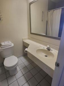 a bathroom with a toilet and a sink with a mirror at America's Inn Williamsburg in Williamsburg