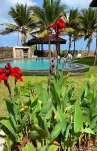 Bassein majutusasutuses Spice of Ceylon või selle lähedal