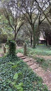 a path in a park with trees and a fence at Cabaña de ensueño en el bosque y junto al mar in Miengo