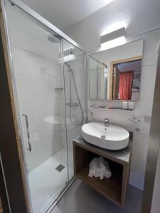 a bathroom with a white sink and a shower at Hotel Des Glaciers in Courmayeur