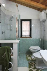 Un baño con inodoro, ducha y lavabo. en Wine House 1850, en Puntalazzo 14 fotos más