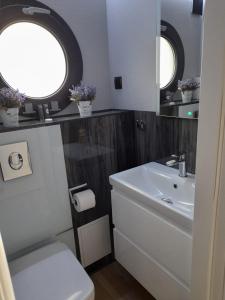 a bathroom with a sink and a toilet and a mirror at Hausboot La Mare Seeblick in Weyhe