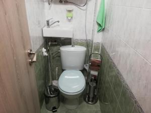 a small bathroom with a toilet and a sink at Apartment Ani in Veliko Tŭrnovo