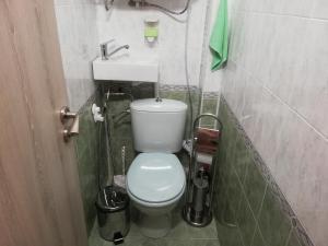 a small bathroom with a toilet and a sink at Apartment Ani in Veliko Tŭrnovo +44 photos