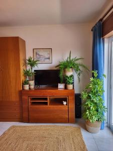 a living room with potted plants on top of a tv at Studio Apartment with Sea View & Fibre Internet in Albufeira