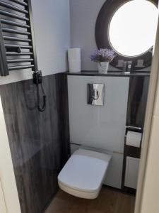 a bathroom with a toilet and a mirror at Hausboot La Mare Seeblick in Weyhe