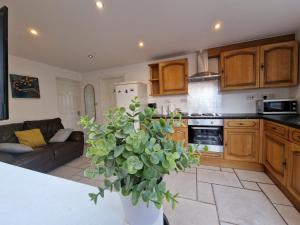 a kitchen with a couch and a vase with a plant at Nice Living Serviced Accommodations 8 (Entire 2 Ensuite Bedroom House) in Coventry