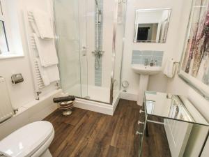 a bathroom with a shower and a toilet and a sink at Clematis Cottage in Shrewsbury