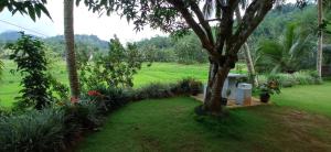 Taman di luar Rainforest Nest