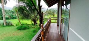 Taman di luar Rainforest Nest
