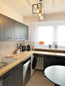 A kitchen or kitchenette at Apartament ul. Botaniczna
