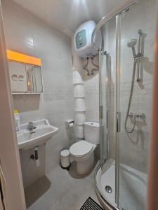 een badkamer met een toilet, een wastafel en een douche bij Recuerdos de la Abuela in Sevilla