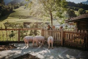 three lambs standing next to a wooden fence at Familien Natur Resort Moar Gut in Grossarl