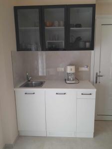 Kuchyň nebo kuchyňský kout v ubytování Giotis Apartments