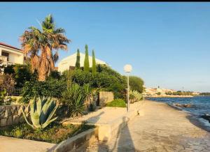 einen Bürgersteig neben dem Wasser mit Palmen und einem Gebäude in der Unterkunft Holiday Home Maria one minute from -Beach in Zadar