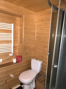 a bathroom with a toilet in a wooden cabin at maison de vigneron in Mareugheol +50 photos