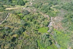 Gallery image of Casa Sabugueiro in Lazarim +25 photos