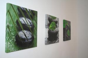 three pictures of a plant on a wall at Hostal Juventus in Portbou