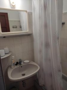 Un baño con lavabo y cortina de ducha. en Maria Andrea House, en Balatonkeresztúr