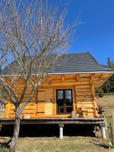 Cabaña de madera con porche y árbol en Domek Oźna płoscyna en Rajcza