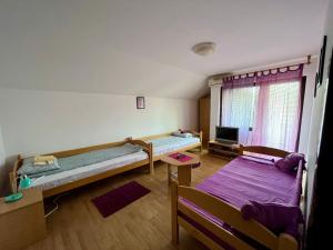 a room with two beds and a tv in it at Apartments and rooms Villa Mačva - Banja Koviljača in Banja Koviljača
