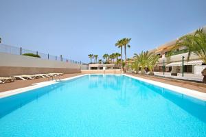 a large blue swimming pool with palm trees and a building at Dunes to explore and relax Wifi in Corralejo