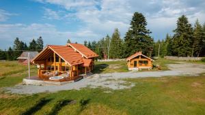 a house with a roof in a field at Rustic Chalet in Călăţele
