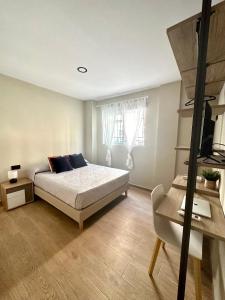 um quarto com uma cama, uma secretária e uma cadeira em Habitación bien situada, cómoda y nueva em Valência