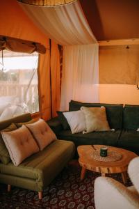 a living room with two green couches and a table at Freedolina Glamping in Łowyń