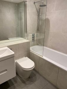 a bathroom with a toilet and a shower and a sink at Modern and cozy two bed in Clapham 5 in London