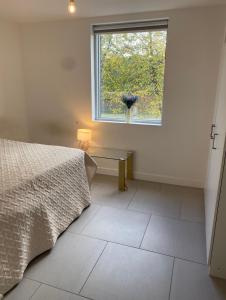 Lova arba lovos apgyvendinimo įstaigoje Modern and cozy two bed in Clapham 5