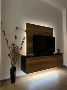 Sjónvarps- og/eða afþreyingartæki á Apartman Maša